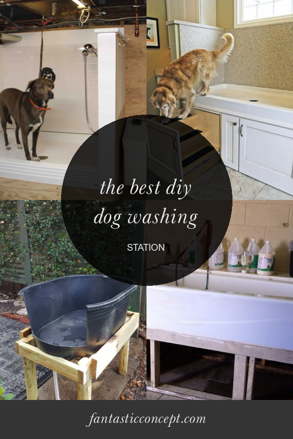 The Best Diy Dog Washing Station Home, Family, Style and Art Ideas